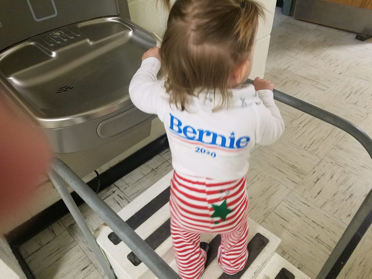 Little Johnnie for Bernie